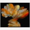 Fractal