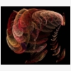 Fractal
