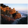 Coastline