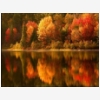 Fall reflections on the lake