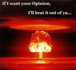 opinion
