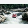 Rafting on the Chatooga River